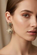 Cargar imagen en el visor de la galería, ARO ESTRELLA
